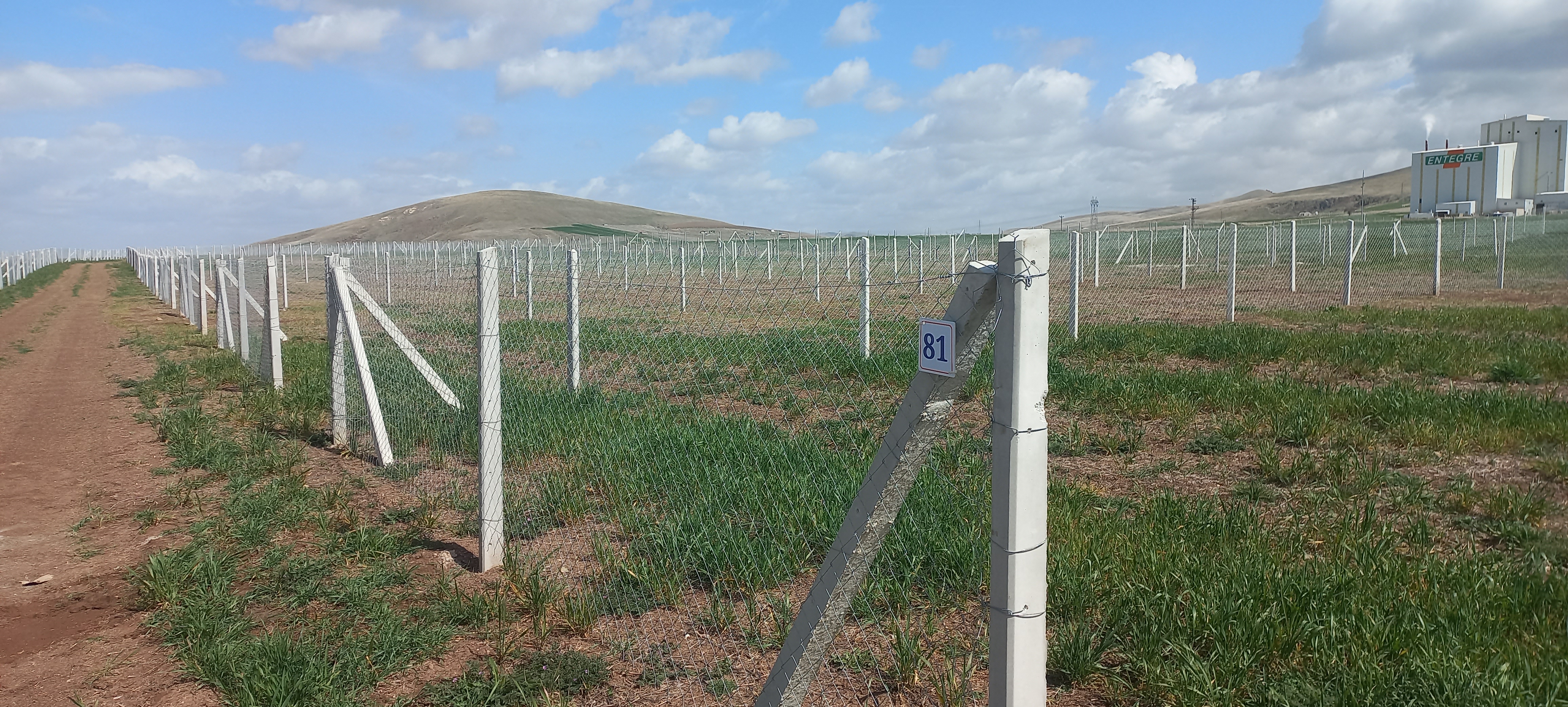 Dikmen Tel Örgü-543 410 93 69